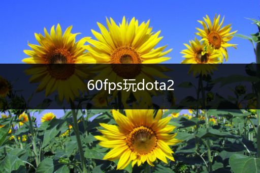 60fps玩dota2