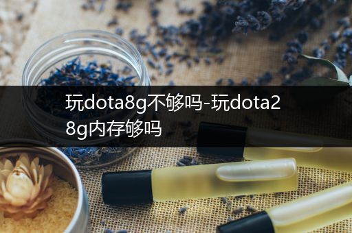 玩dota8g不够吗-玩dota2 8g内存够吗