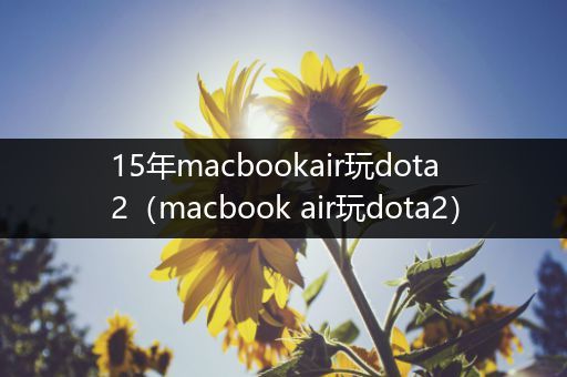 15年macbookair玩dota2（macbook air玩dota2）