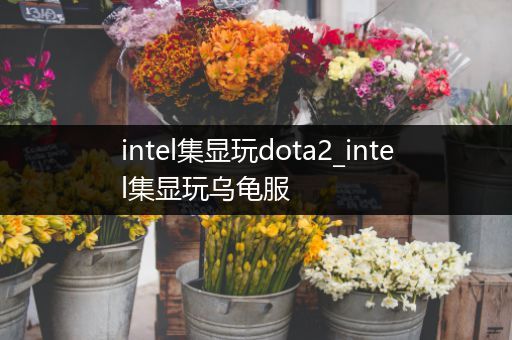 intel集显玩dota2_intel集显玩乌龟服
