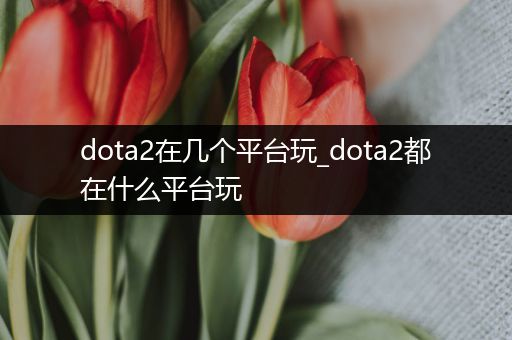 dota2在几个平台玩_dota2都在什么平台玩