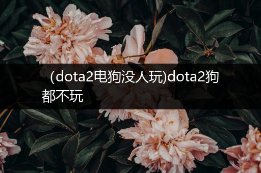 （dota2电狗没人玩)dota2狗都不玩