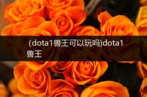 （dota1兽王可以玩吗)dota1 兽王