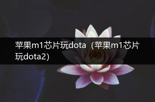 苹果m1芯片玩dota（苹果m1芯片玩dota2）