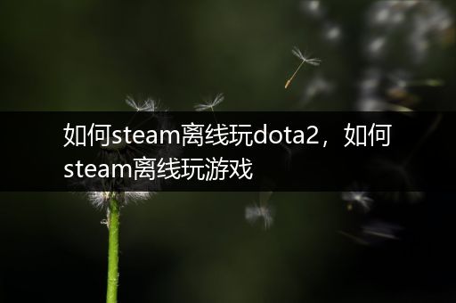 如何steam离线玩dota2，如何steam离线玩游戏