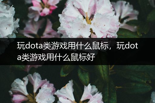 玩dota类游戏用什么鼠标，玩dota类游戏用什么鼠标好