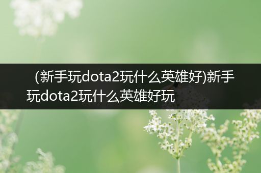 （新手玩dota2玩什么英雄好)新手玩dota2玩什么英雄好玩