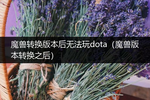 魔兽转换版本后无法玩dota（魔兽版本转换之后）
