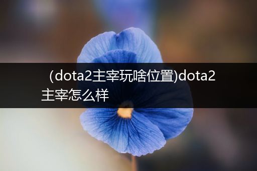 （dota2主宰玩啥位置)dota2主宰怎么样