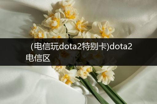 （电信玩dota2特别卡)dota2电信区