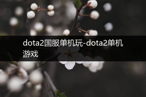 dota2国服单机玩-dota2单机游戏