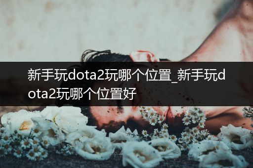 新手玩dota2玩哪个位置_新手玩dota2玩哪个位置好