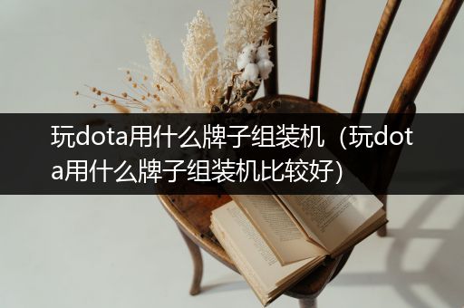 玩dota用什么牌子组装机（玩dota用什么牌子组装机比较好）