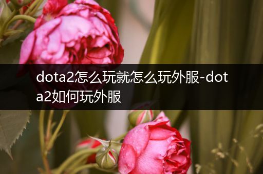 dota2怎么玩就怎么玩外服-dota2如何玩外服