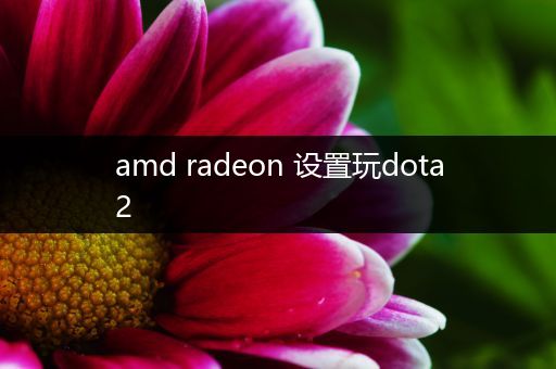 amd radeon 设置玩dota2
