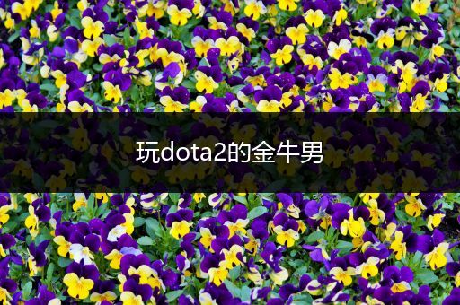 玩dota2的金牛男