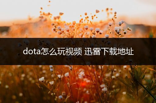 dota怎么玩视频 迅雷下载地址