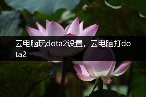 云电脑玩dota2设置，云电脑打dota2