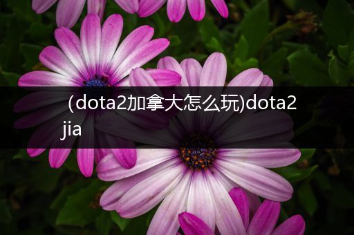 （dota2加拿大怎么玩)dota2 jia