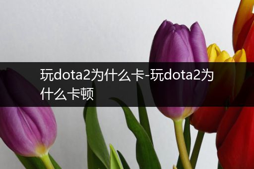 玩dota2为什么卡-玩dota2为什么卡顿