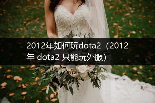 2012年如何玩dota2（2012年 dota2 只能玩外服）