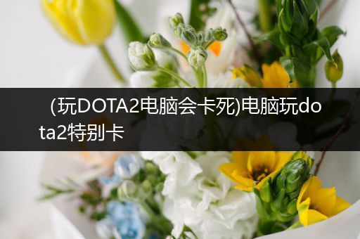 （玩DOTA2电脑会卡死)电脑玩dota2特别卡