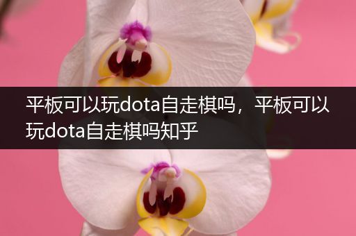 平板可以玩dota自走棋吗，平板可以玩dota自走棋吗知乎