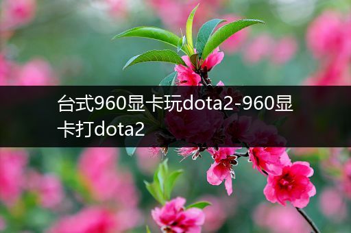 台式960显卡玩dota2-960显卡打dota2