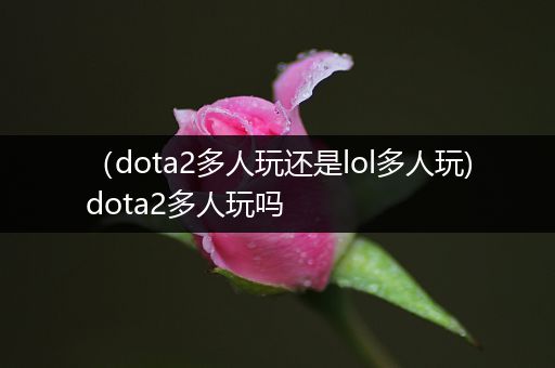 （dota2多人玩还是lol多人玩)dota2多人玩吗