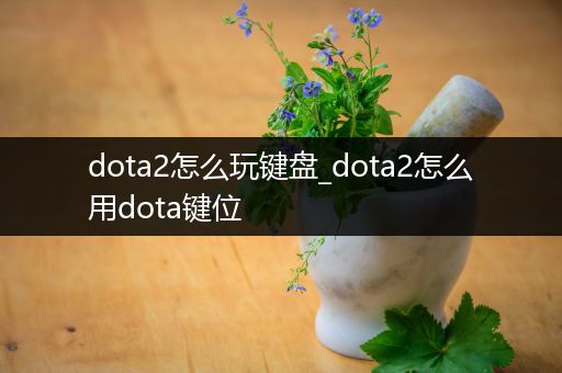 dota2怎么玩键盘_dota2怎么用dota键位