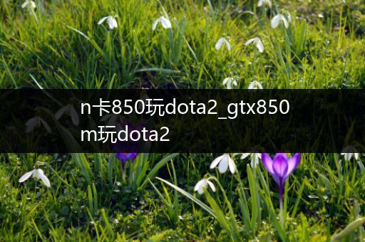 n卡850玩dota2_gtx850m玩dota2