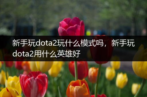 新手玩dota2玩什么模式吗，新手玩dota2用什么英雄好