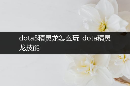 dota5精灵龙怎么玩_dota精灵龙技能