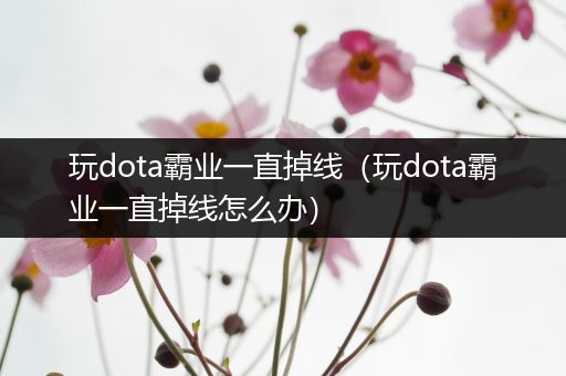 玩dota霸业一直掉线（玩dota霸业一直掉线怎么办）