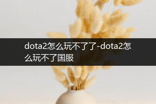 dota2怎么玩不了了-dota2怎么玩不了国服