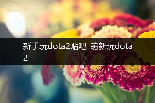 新手玩dota2贴吧_萌新玩dota2