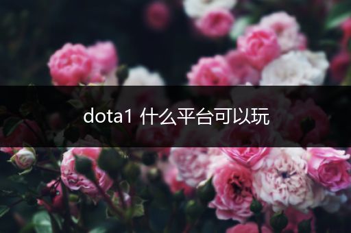 dota1 什么平台可以玩