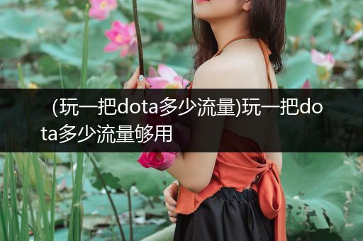 （玩一把dota多少流量)玩一把dota多少流量够用