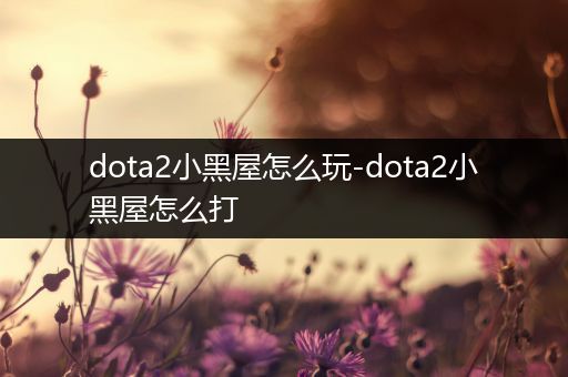 dota2小黑屋怎么玩-dota2小黑屋怎么打