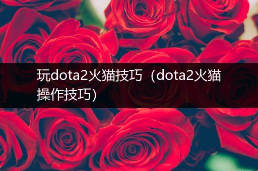 玩dota2火猫技巧（dota2火猫操作技巧）