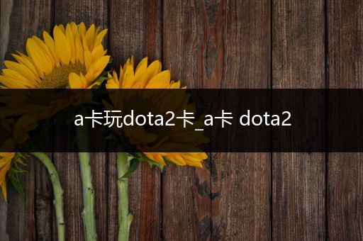 a卡玩dota2卡_a卡 dota2