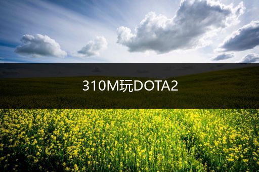310M玩DOTA2