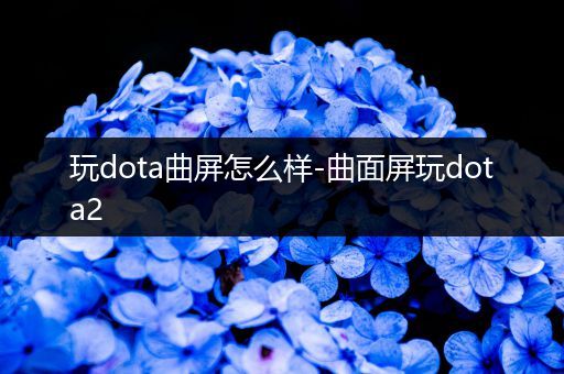 玩dota曲屏怎么样-曲面屏玩dota2