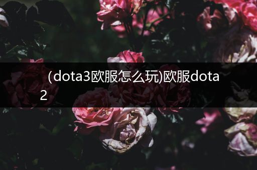 （dota3欧服怎么玩)欧服dota2