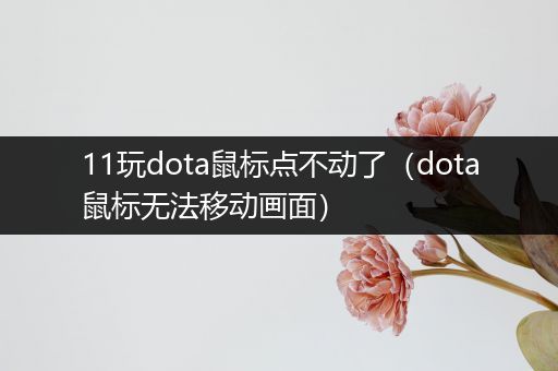 11玩dota鼠标点不动了（dota鼠标无法移动画面）