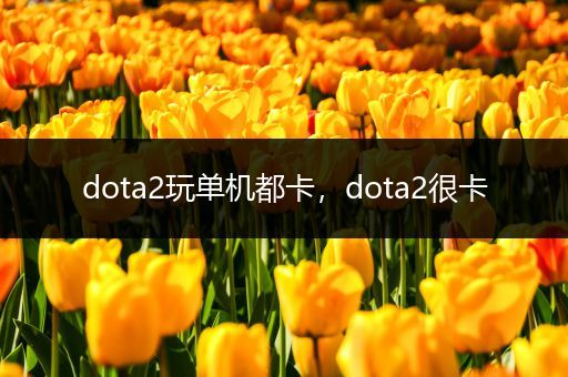 dota2玩单机都卡，dota2很卡