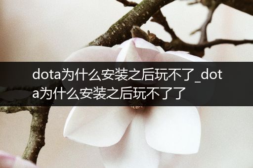 dota为什么安装之后玩不了_dota为什么安装之后玩不了了