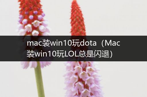mac装win10玩dota（Mac装win10玩LOL总是闪退）