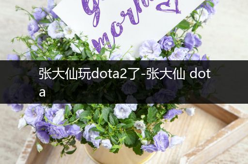 张大仙玩dota2了-张大仙 dota