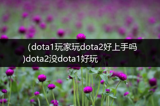 （dota1玩家玩dota2好上手吗)dota2没dota1好玩